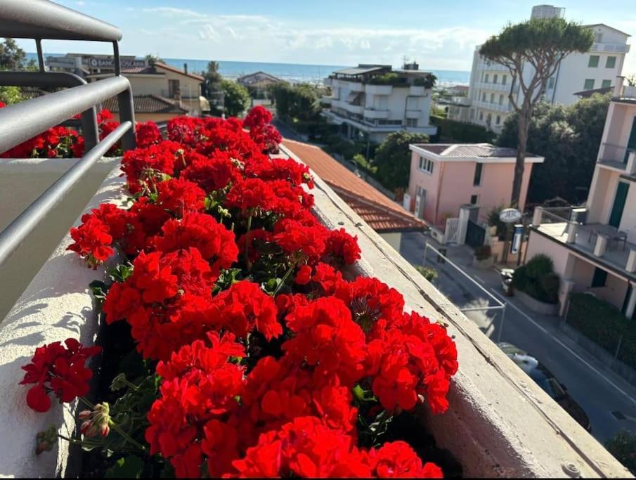 Luxury Pentohuse Near The Beach Apartment Marina di Pietrasanta Exterior photo